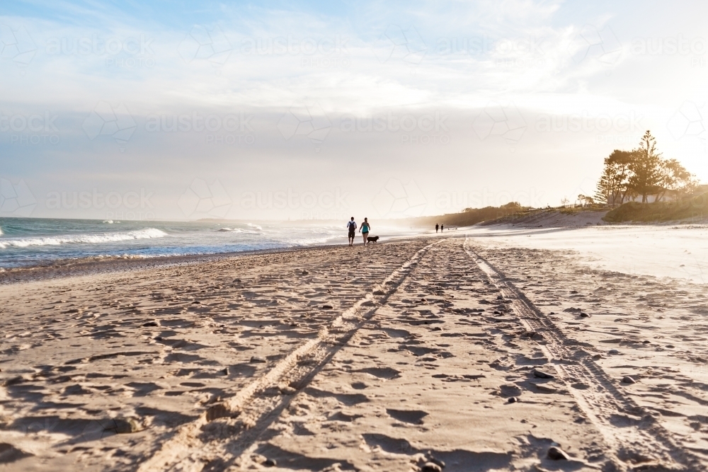 Fit adult couple walk with black dog on the beach at sunset alongside tyre track on the sand - Australian Stock Image