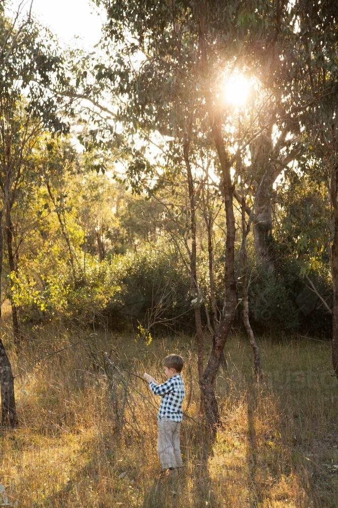 Five year old boy playing in a paddock in the afternoon light - Australian Stock Image