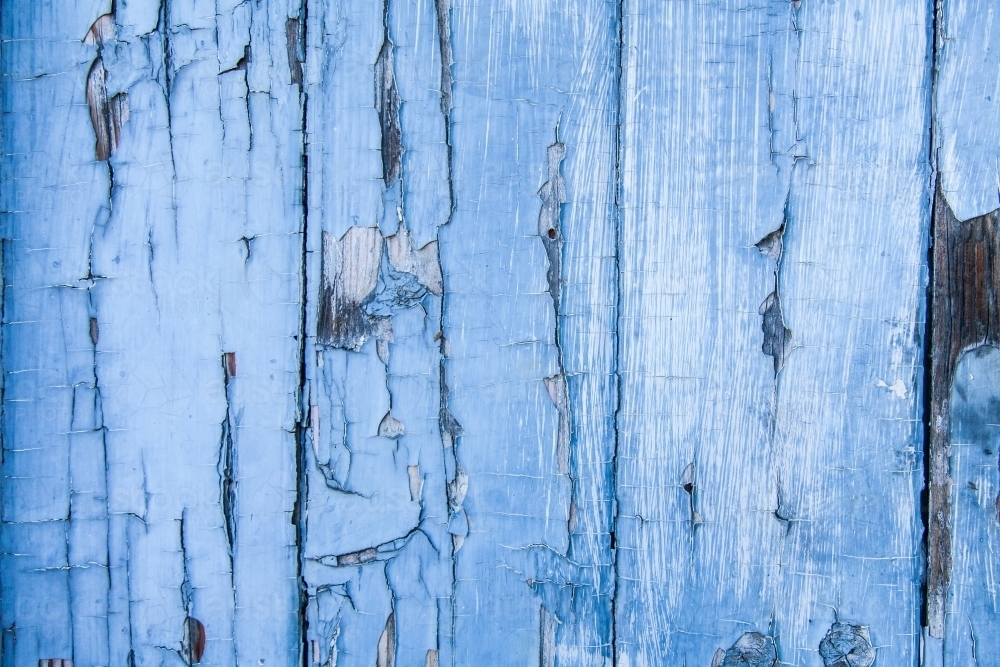 Flaking blue paint peeling off wood textured door - Australian Stock Image