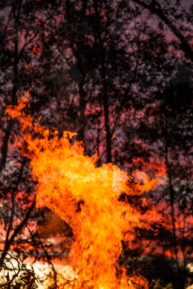 Flames of a bonfire burning up against a pink sunset - Australian Stock Image