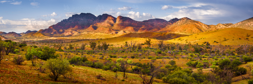 Flinders Ranges Landscape of mountains and outback - Australian Stock Image