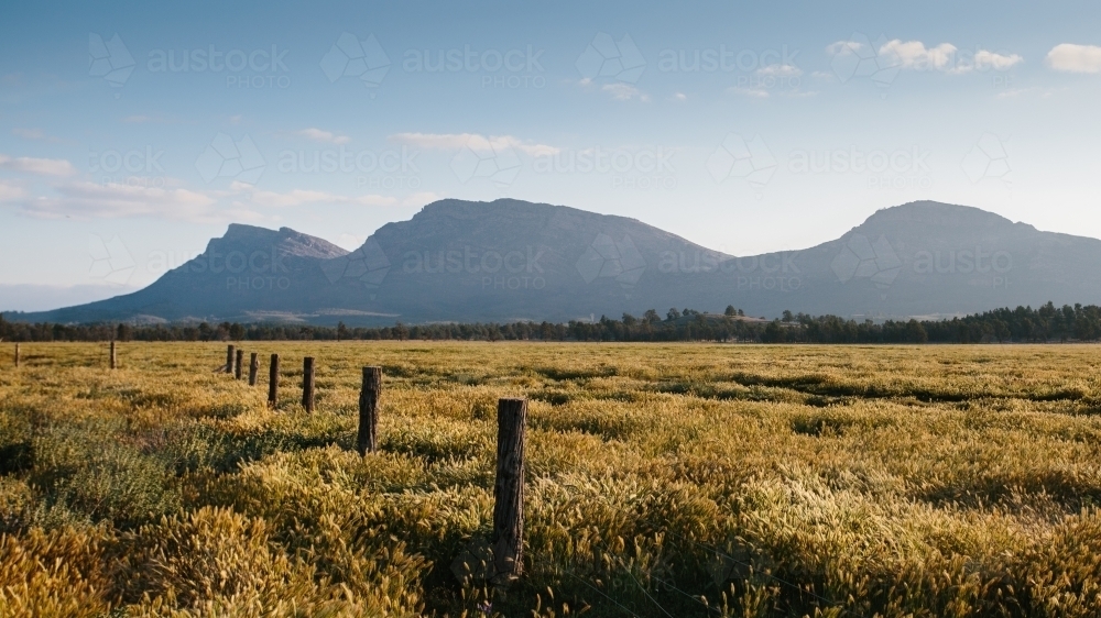 Flinders Ranges landscape with fence line and scrub in the afternoon sun - Australian Stock Image
