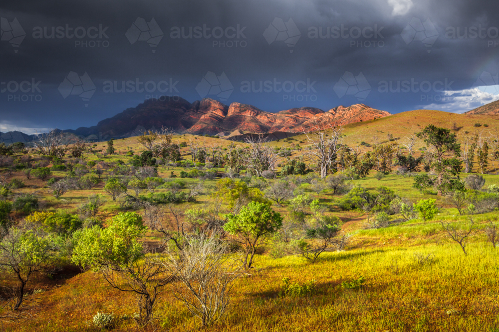 Flinders Ranges Landscape with storm rolling in over mountain - Australian Stock Image