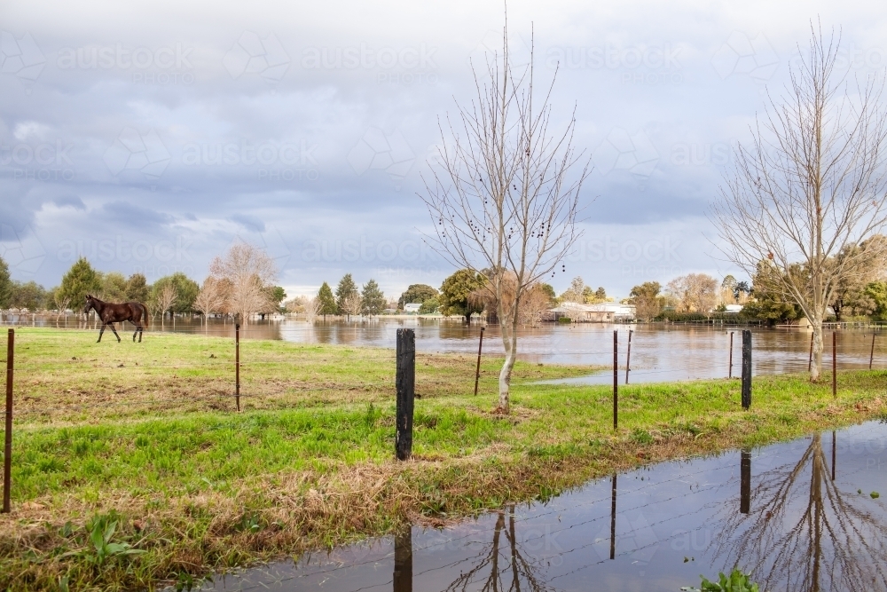 Flood water in paddock beside road at edge of town - Australian Stock Image
