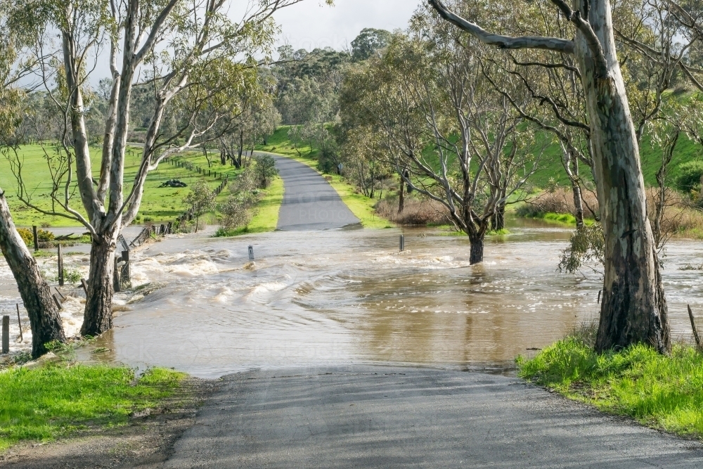 Flood waters rushing over a tree lined country road - Australian Stock Image