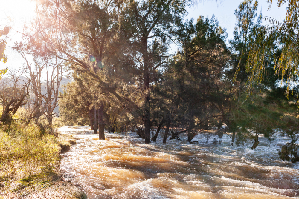 Image of flooded creek with raging waters swirling downstream around ...