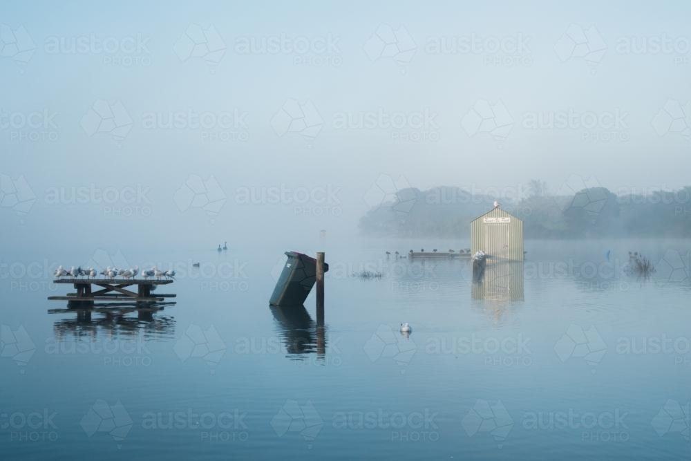 Flooded Inlet at Glenelg River, Nelson, Victoria - Australian Stock Image