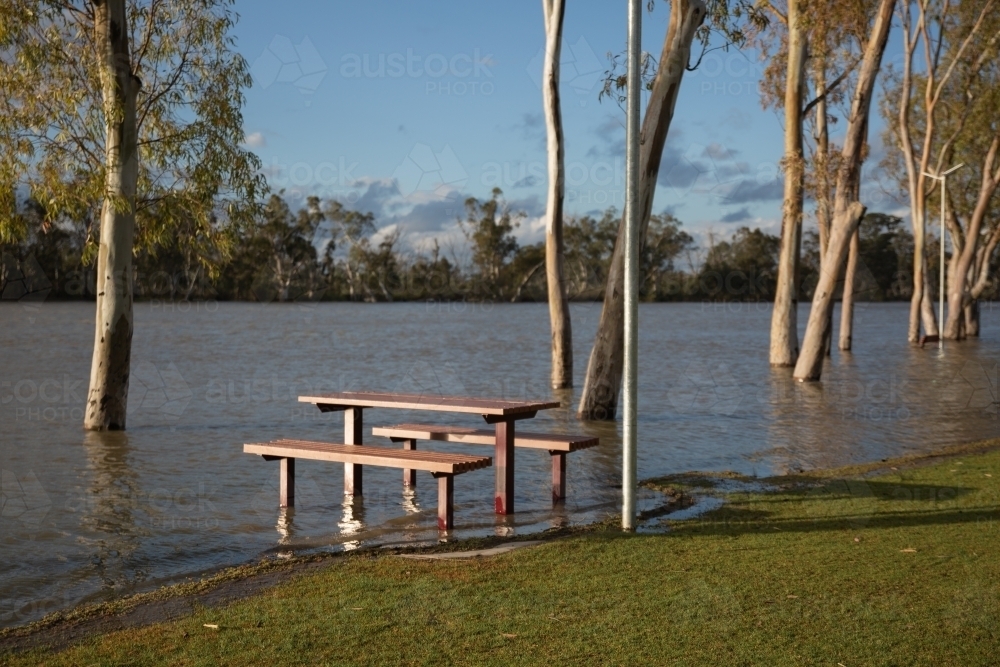 Flooded Murray River picnic table - Australian Stock Image