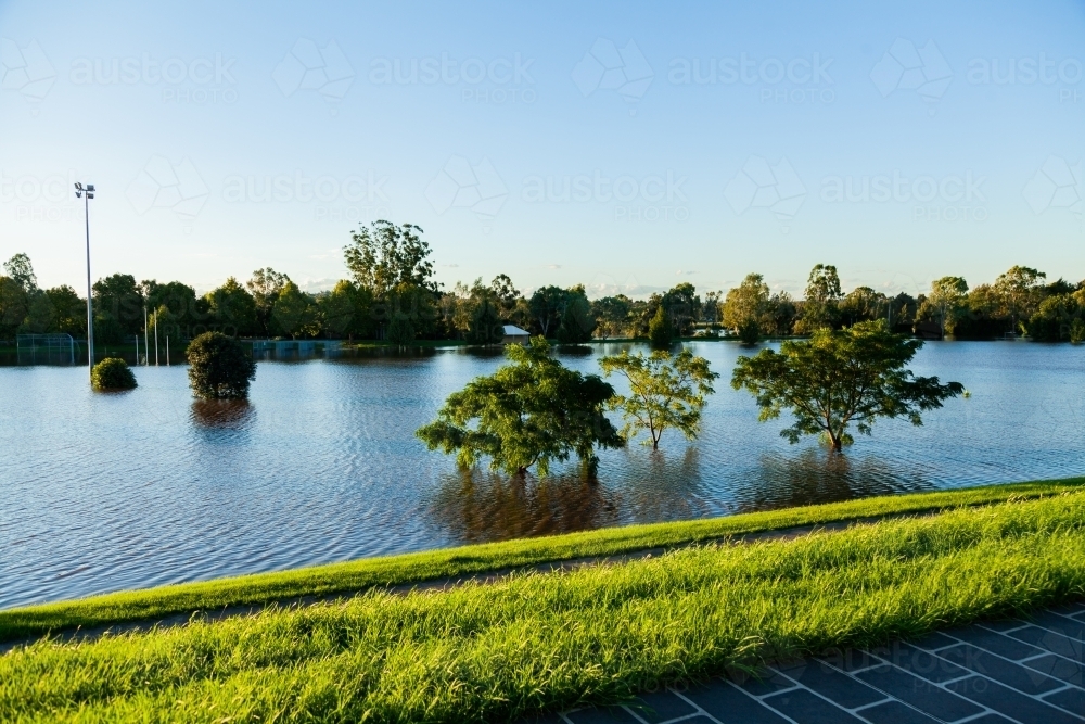 Flooded playing field in park water rising up towards the top of the levee bank - Australian Stock Image