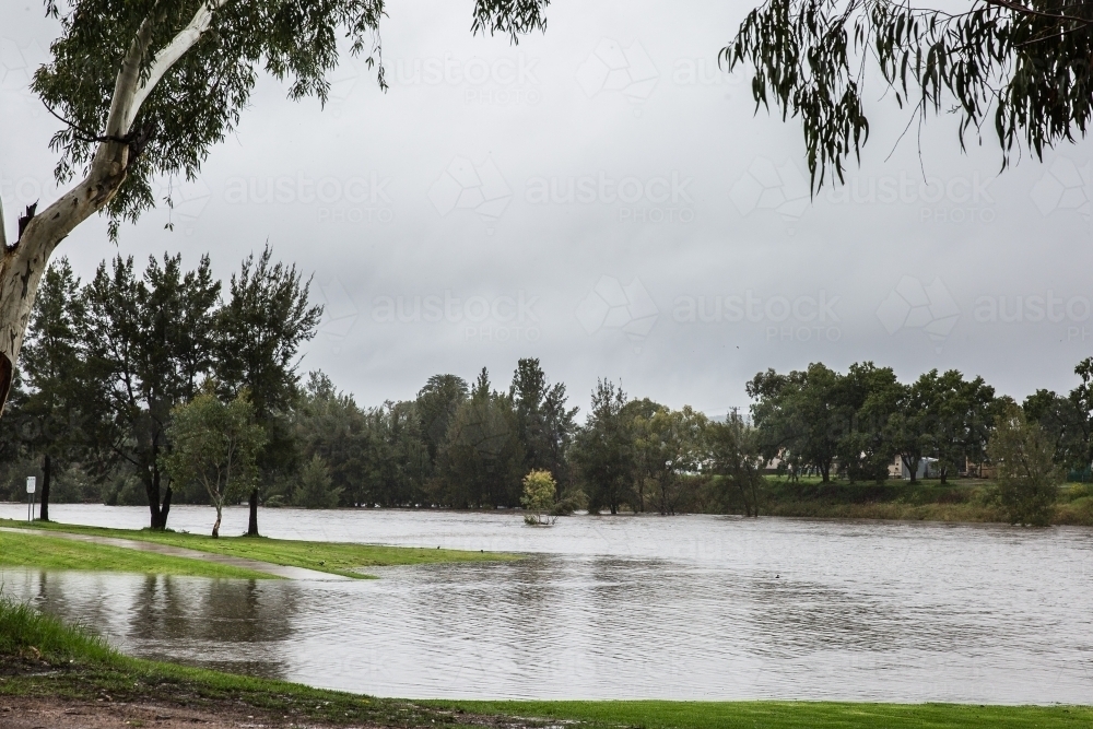 Flooded river covering footpath in extreme weather - Australian Stock Image