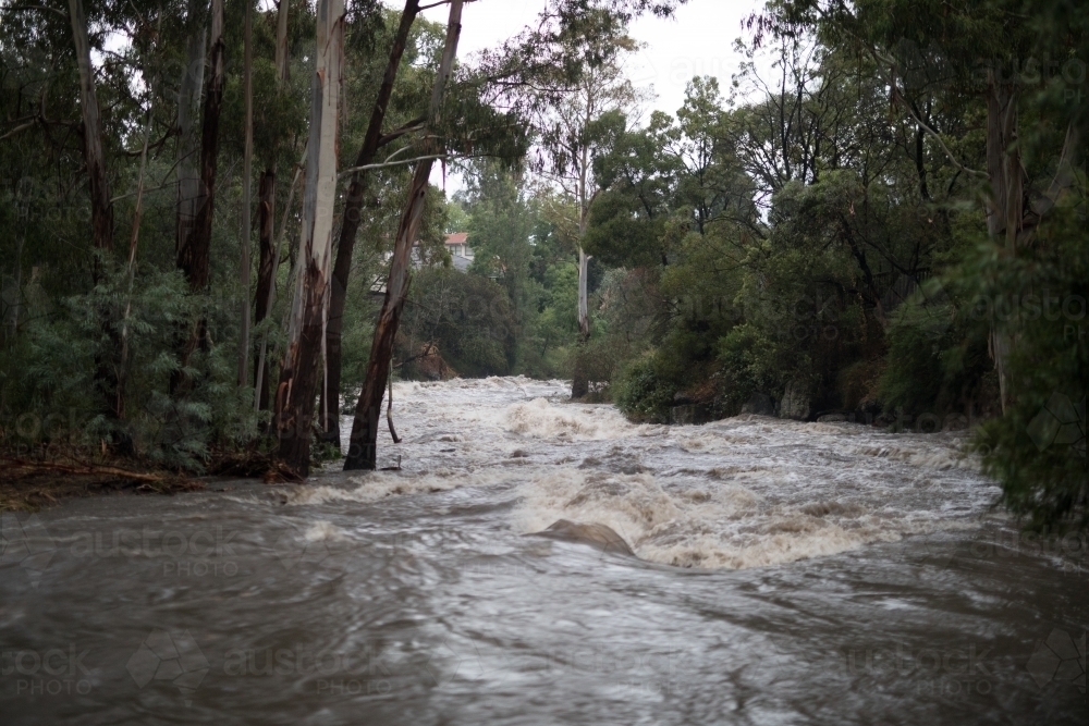 Floodwaters in local creek - Australian Stock Image