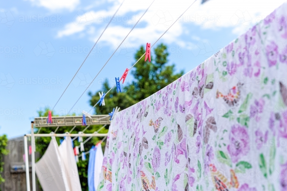 Floral Sheet hanging on the line drying in the sun - Australian Stock Image