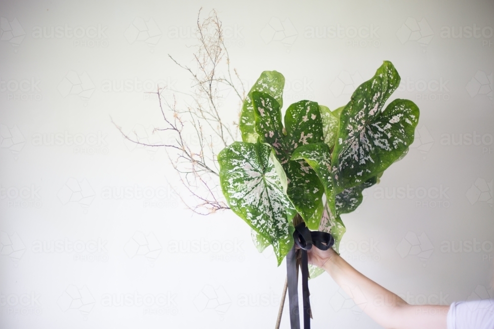 Flower arrangement in a  florist's studio - Australian Stock Image
