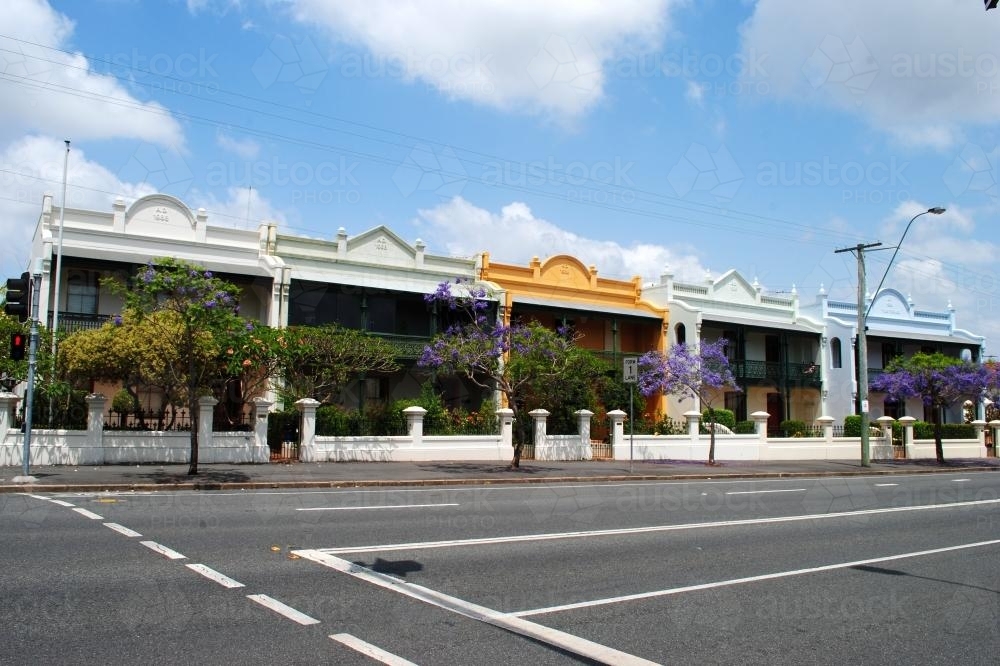 Flowering jacaranda trees in front of a row of terraced houses in Brisbane - Australian Stock Image