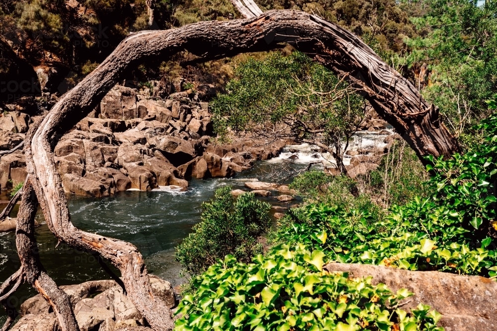 flowing stream framed by a tree branch - Australian Stock Image