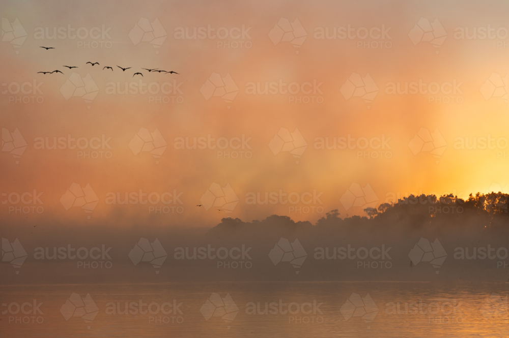 Fog mist morning on river at Mannum - Australian Stock Image