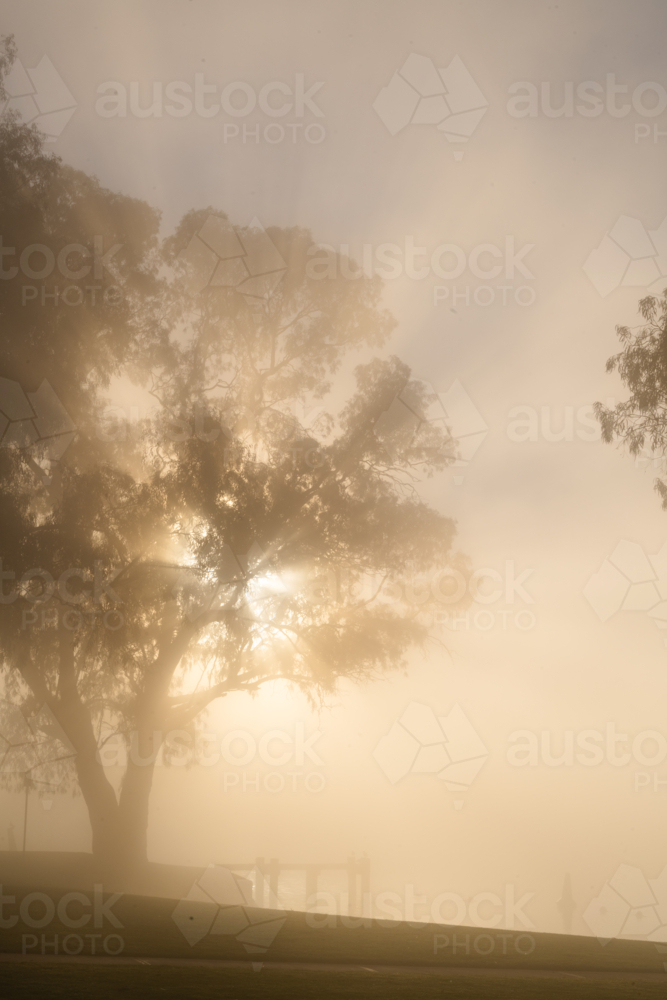 Fog mist morning on river at Mannum - Australian Stock Image
