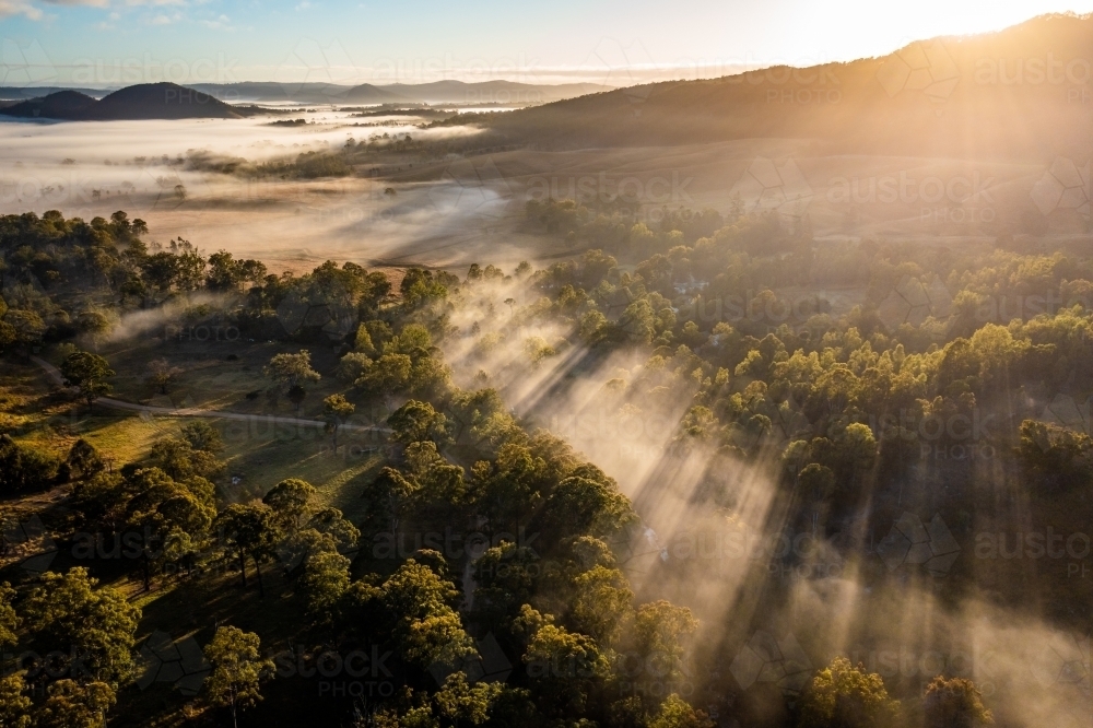 Foggy landscape at sunrise - Australian Stock Image