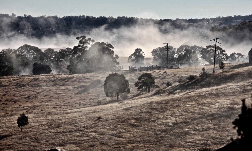 Foggy morning landscape.  In the mist. - Australian Stock Image