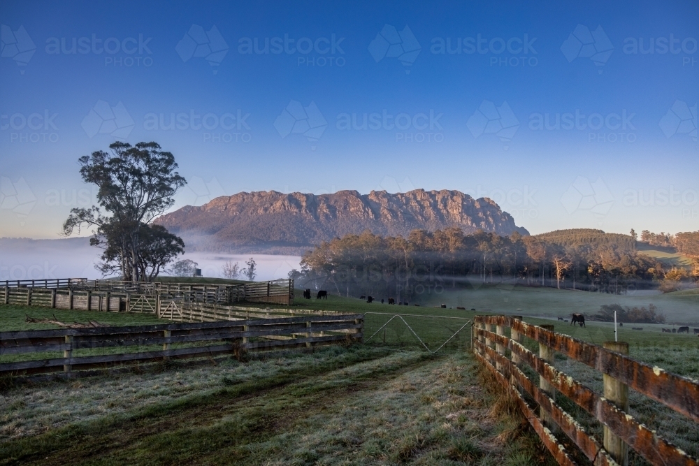 Foggy morning view of Mt Roland with fences, stockyards and paddocks in foreground - Australian Stock Image
