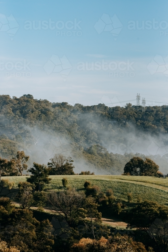 Foggy Sunrise in bright sunlight - Australian Stock Image