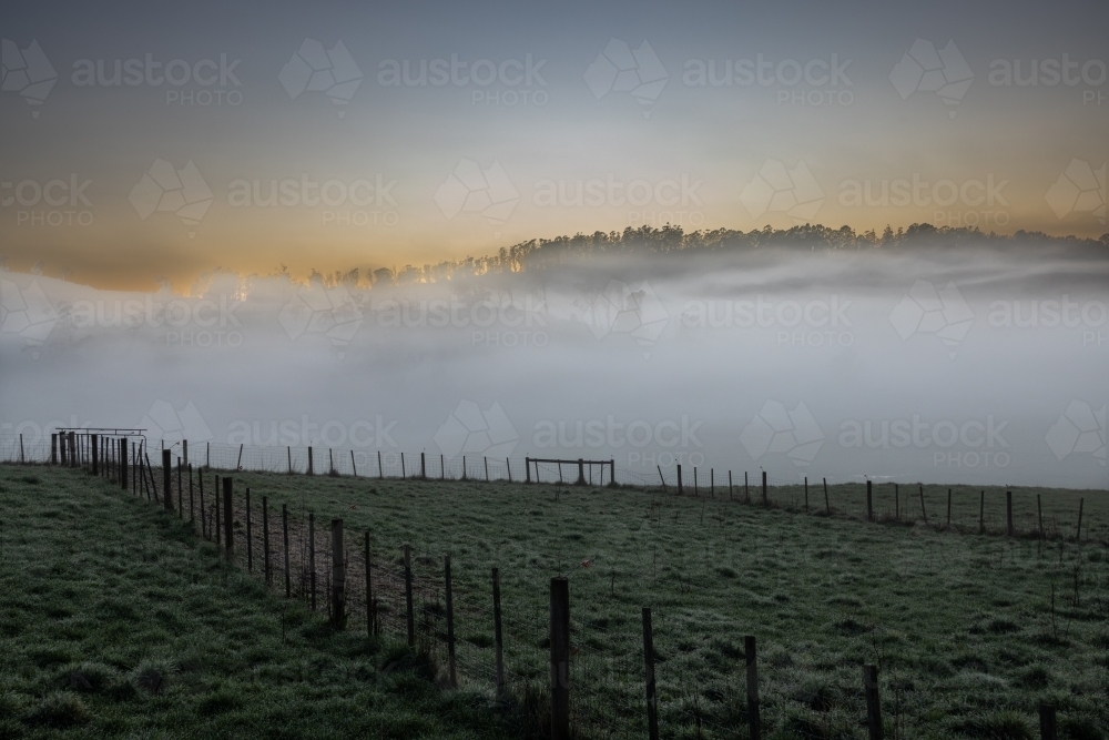 Foggy sunrise over fenced paddocks near Sheffield - Australian Stock Image