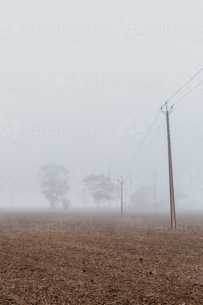Foggy weather country paddock, power line and trees - Australian Stock Image