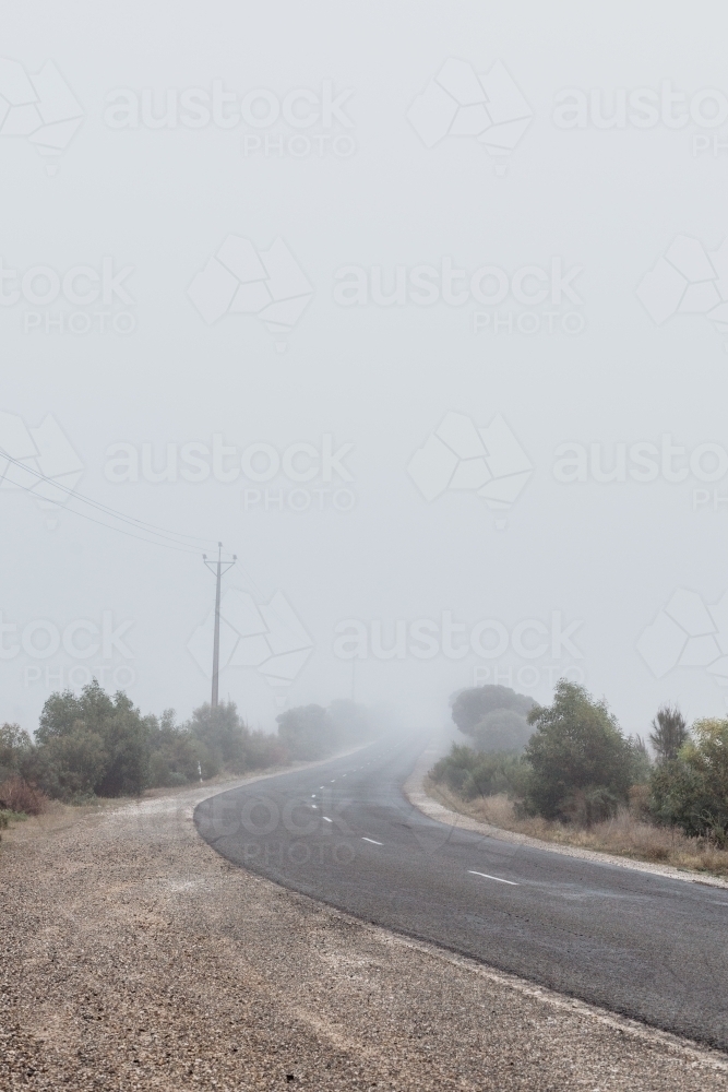 Foggy weather country road, trees lining the road - Australian Stock Image