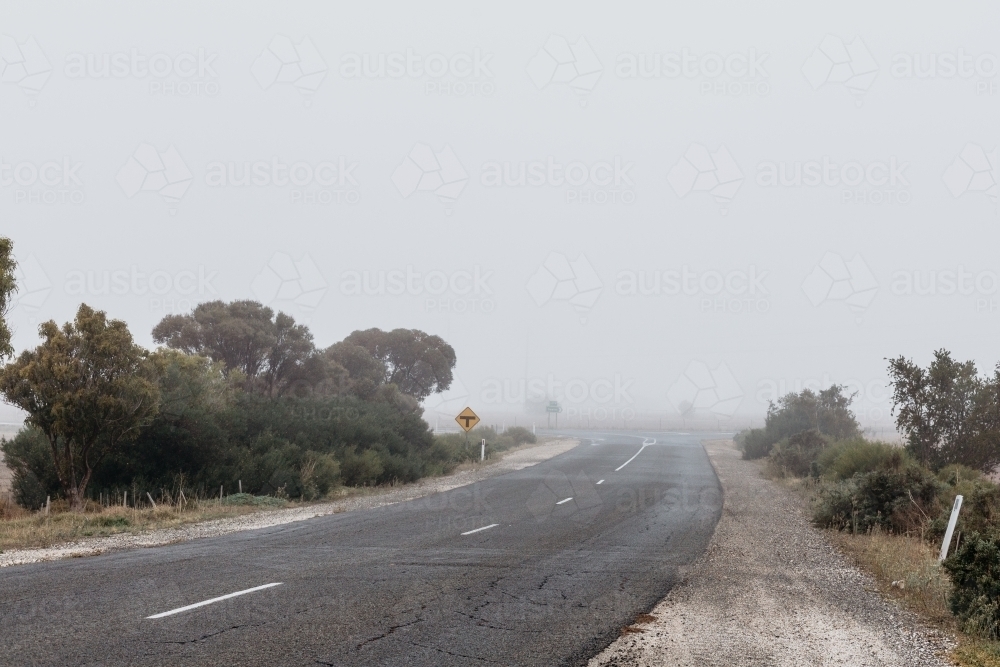Foggy weather country road, trees lining the road - Australian Stock Image
