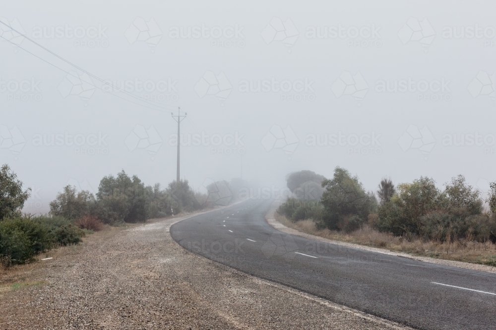 Foggy weather country road, trees lining the road - Australian Stock Image