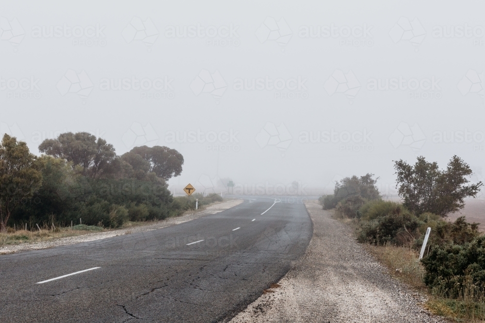 Foggy weather country road, trees lining the road - Australian Stock Image