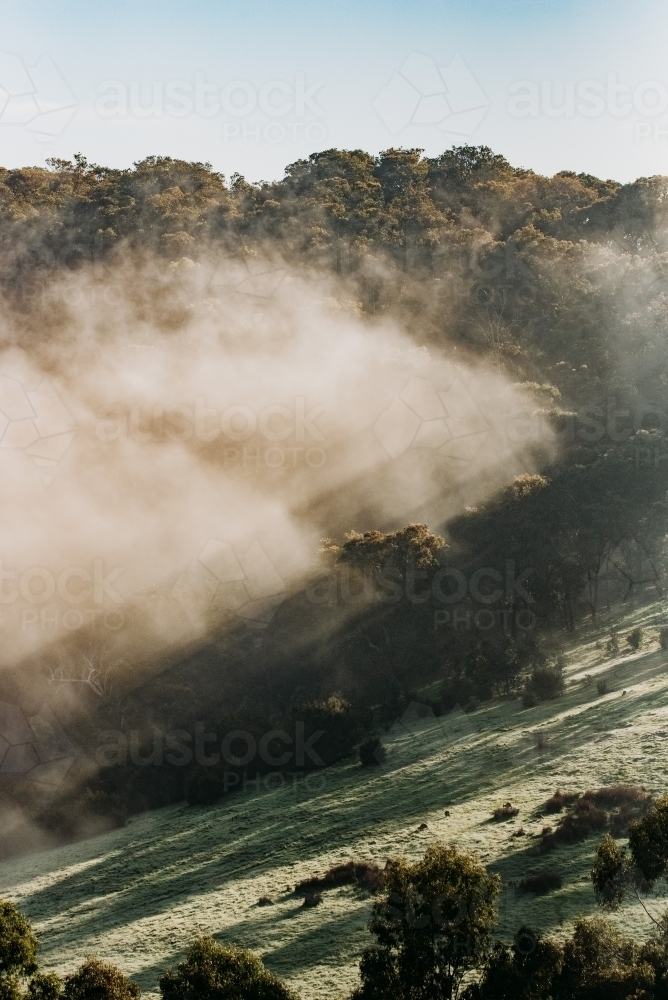 Foggy Winters Morning - Australian Stock Image