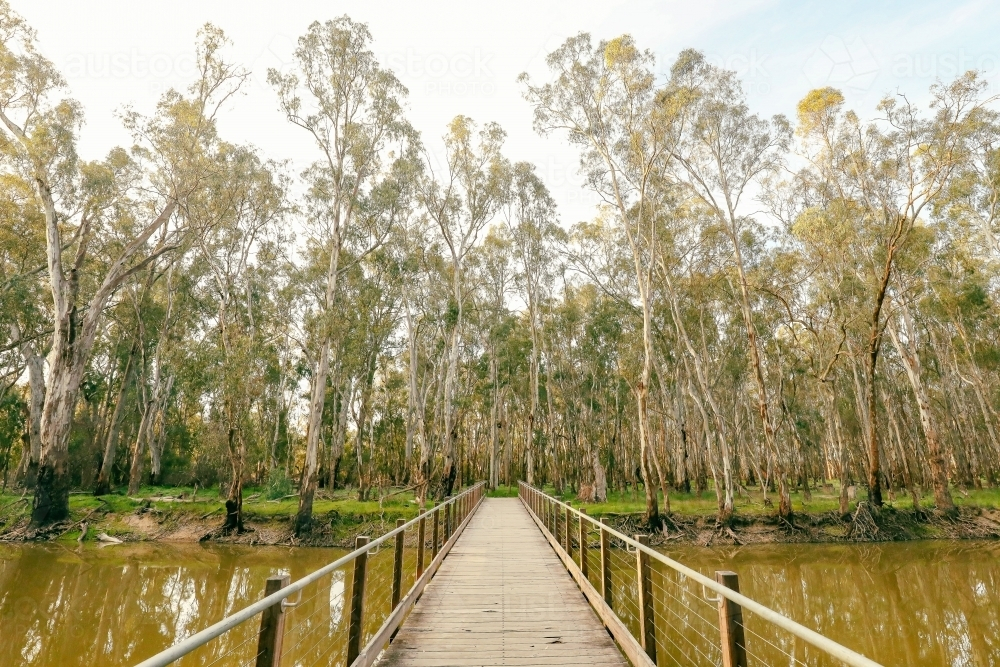 Footbridge walking trail over the Gunbower Creek at Koondrook Victoria Australia - Australian Stock Image