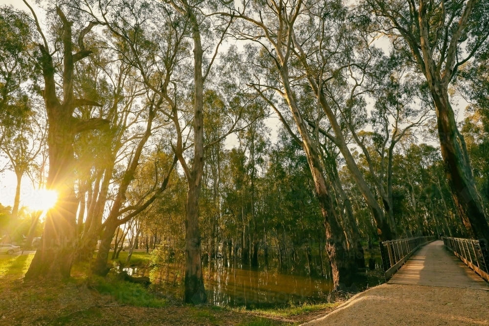 Footbridge walking trail over the Gunbower Creek in Koondrook Victoria Australia - Australian Stock Image