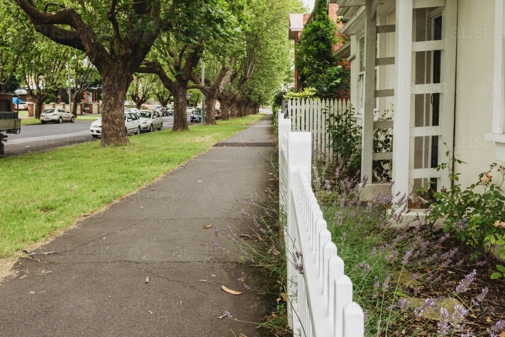 footpath in a quiet tree lined street of Hobart - Australian Stock Image