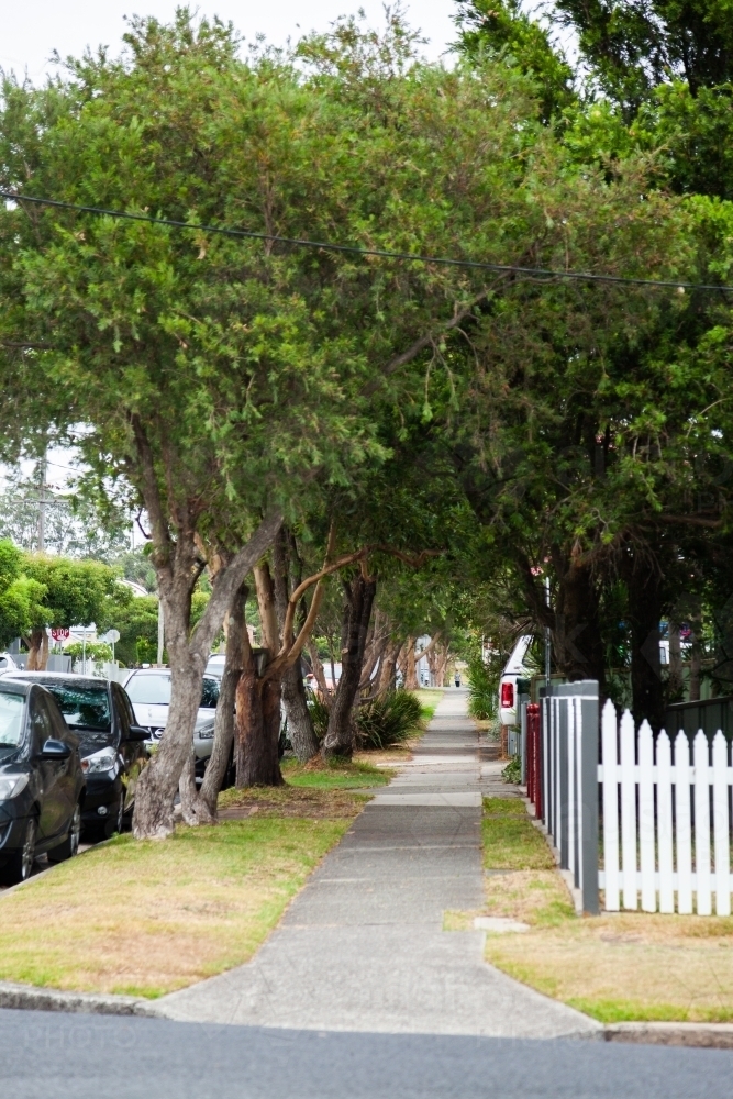 Footpath with trees along it in Newcastle suburbs - Australian Stock Image
