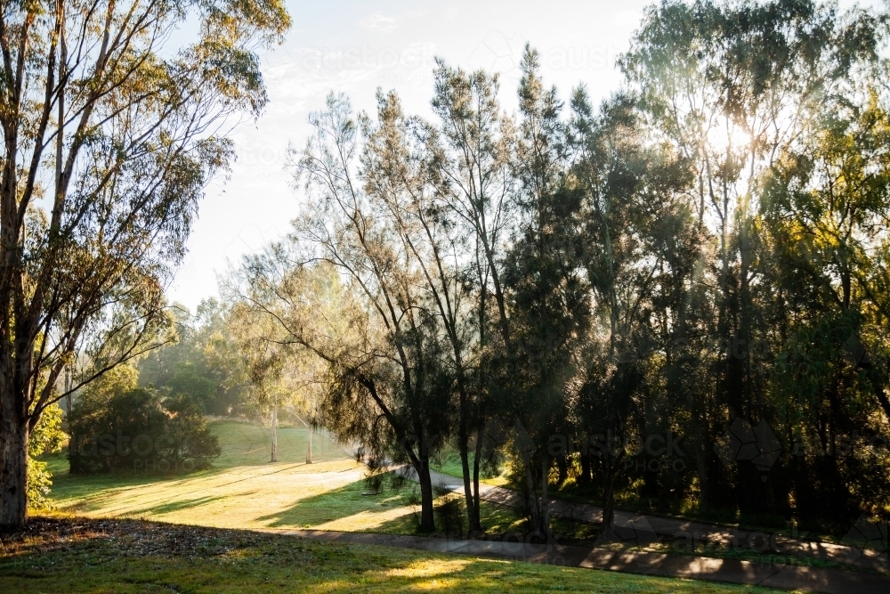 Footpath with trees beside it and sun rays shining through fog - Australian Stock Image