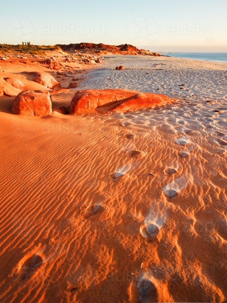 Footprints leading through sand at a remote beach - Australian Stock Image