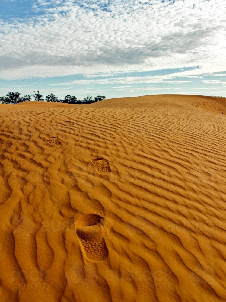 footprints leading up a sandhill in the outback - Australian Stock Image