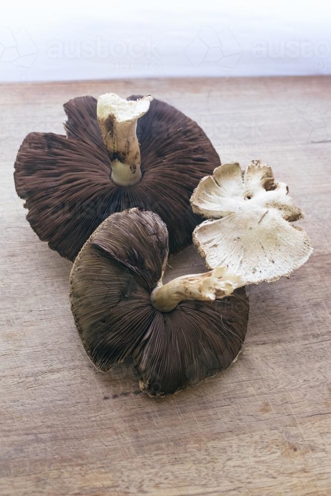 Foraged Field Mushrooms on a wooden bench - Australian Stock Image