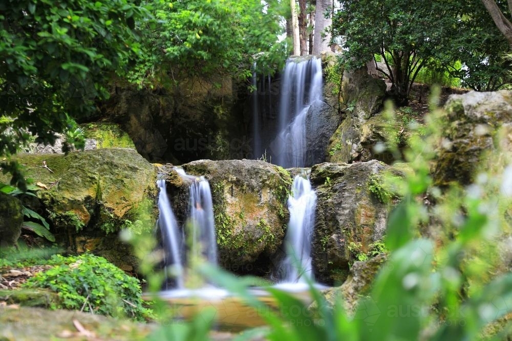 Forest Waterfall - Australian Stock Image