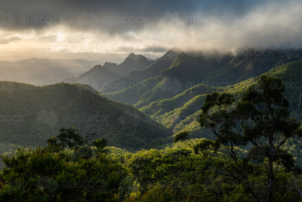 Forested mountain landscape of Mount Barney - Australian Stock Image
