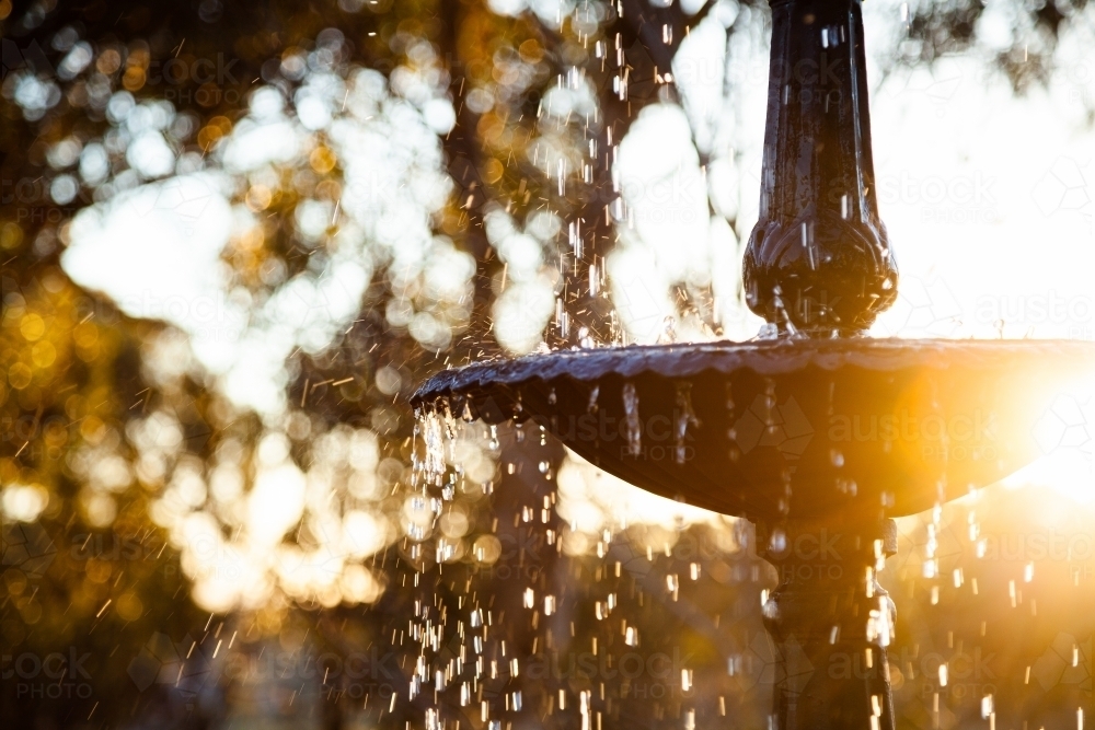 Fountain with water droplets in golden sunset light - Australian Stock Image