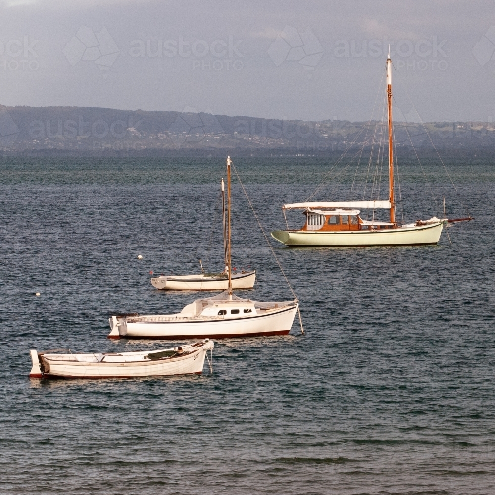 four boats anchored at sea - Australian Stock Image
