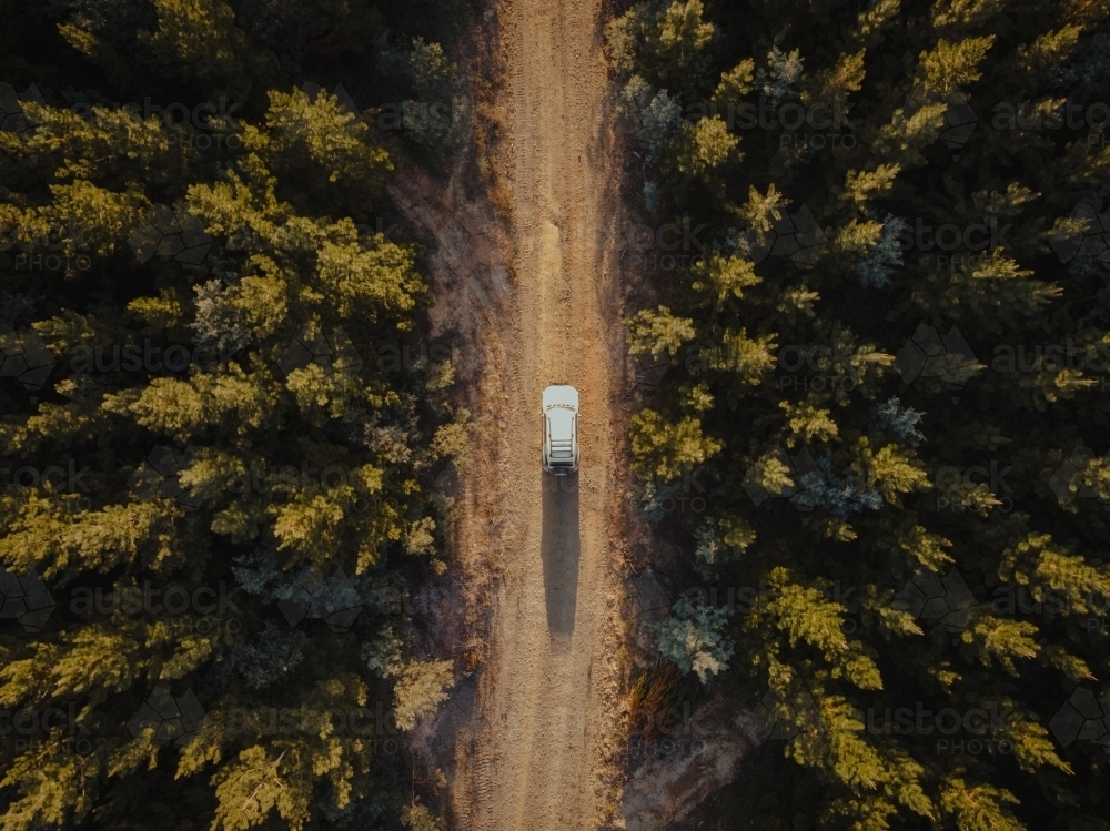 Four wheel drive exploring on dirt road in pine forest - Australian Stock Image