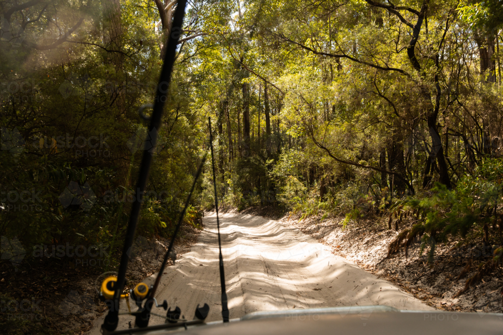 four wheel driving on a sandy track through trees on K'gari - Australian Stock Image
