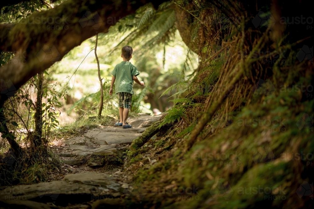 Four year old boy explores the bush along a walking track - Australian Stock Image