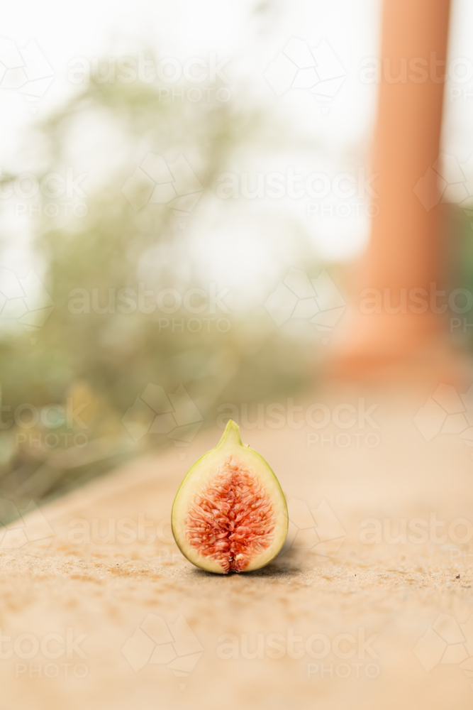 Fresh fig fruit cut in half in natural garden setting with copy space - Australian Stock Image