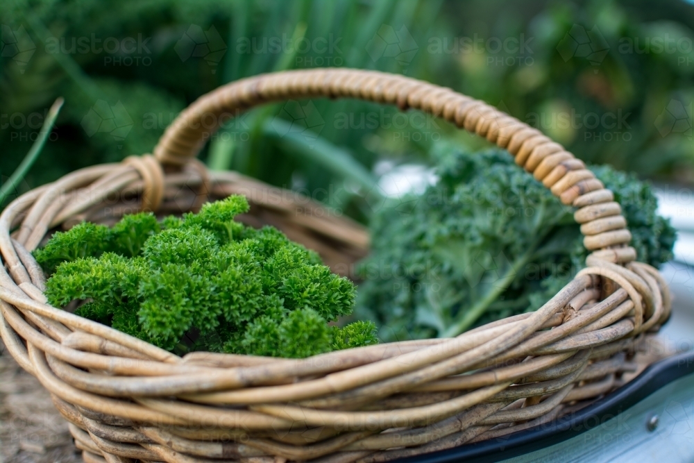 Fresh garden produce in wicker basket - Australian Stock Image