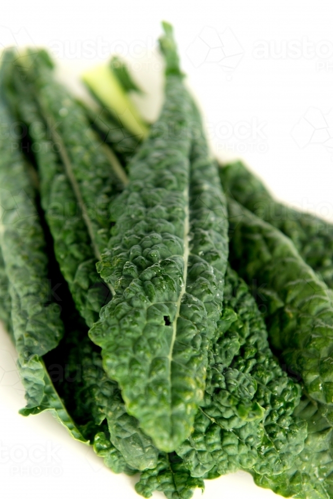 Fresh green kale on white - Australian Stock Image